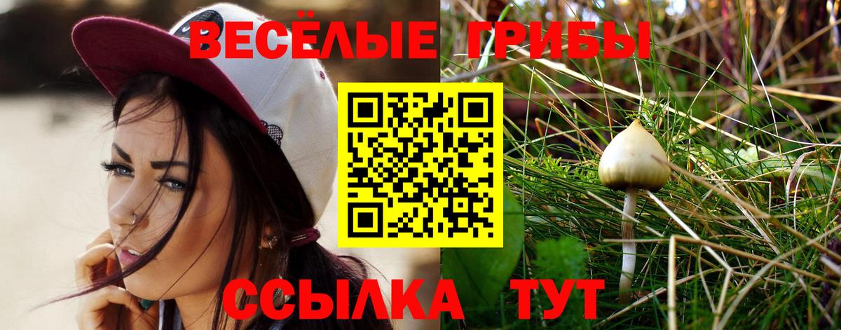 Псилоцибиновые грибы прущие грибы Пугачёв