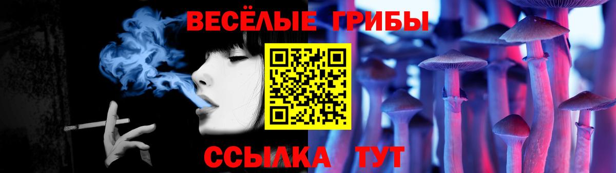 где можно купить   Вход с VPN  Пугачёв  Псилоцибиновые грибы Psilocybine cubensis 